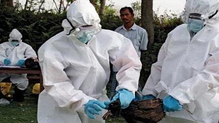 Thêm hai trường hợp nhiễm virút cúm H7N9 tại Trung Quốc ảnh 1